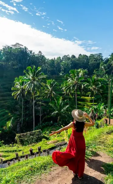 Best Eat, Drink, Pose, and Play Destinations in Ubud