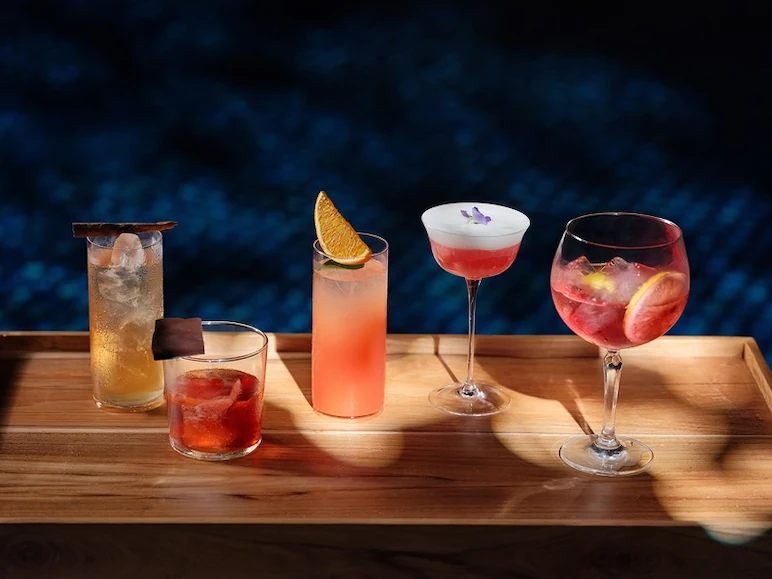 cocktails drinks cheering