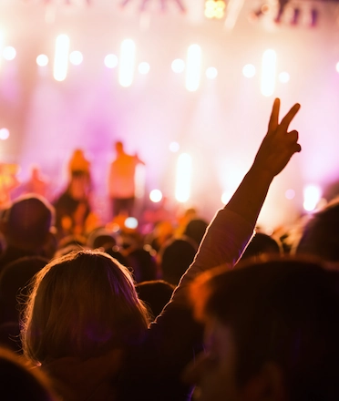 Crowd in a Music Festival Concert Crowd in a Music Festival Concert