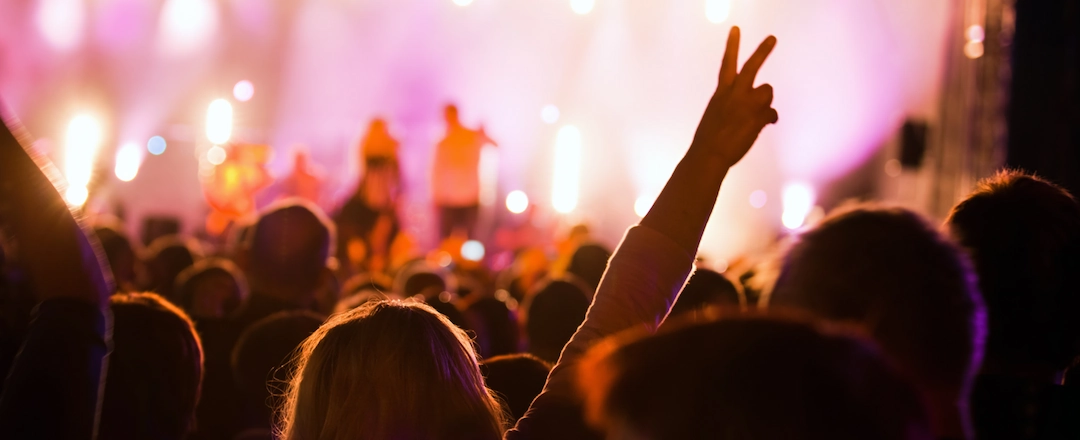 Crowd in a Music Festival Concert