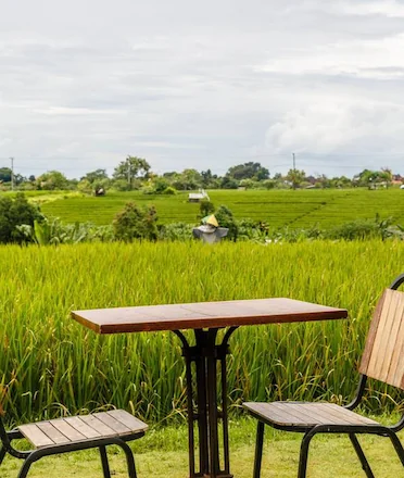 Restaurant Table and Seat overlooking lush paddy field