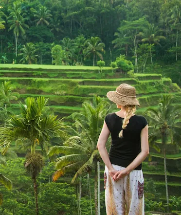 Female Tourist Looking Over Lush Paddy Field in Ubud