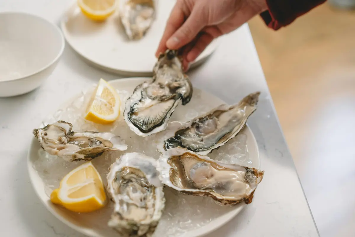best_oyster_place_in_yogyakarta_awaits