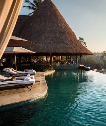viceroy pool