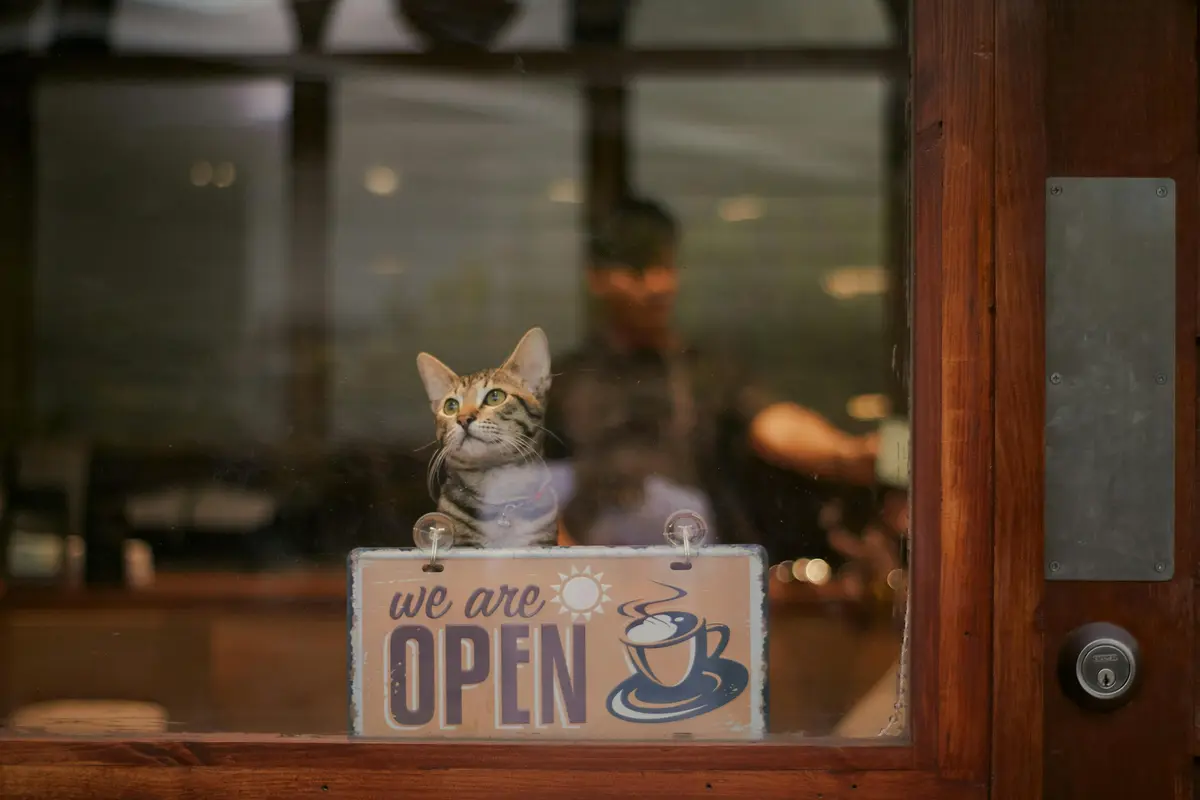 Best_Pet_Friendly_Cafes_in_Yogyakarta_You'll_Love