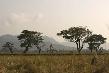 Garrya_Bianti_Yogyakarta_Where_Serenity_Meets_Michelin_Key_Luxury