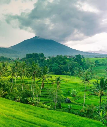 Skip the Crowds, Find the Magic: Why Sidemen Village Is Bali’s Best-Kept Secret