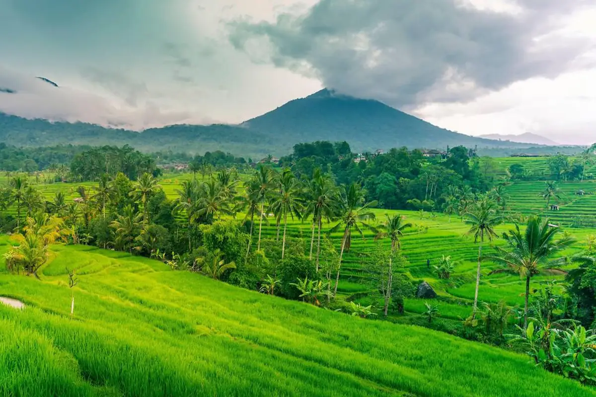 Skip the Crowds, Find the Magic: Why Sidemen Village Is Bali’s Best-Kept Secret