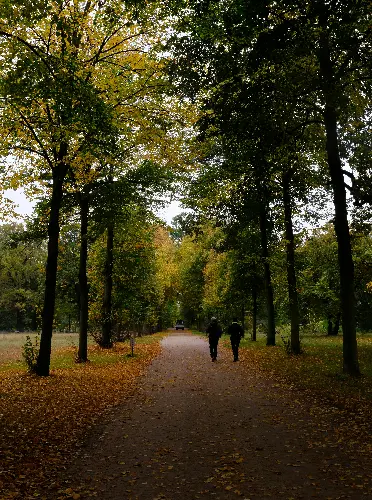 Two people walking along an autumn tree-lined path