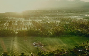 Vineyards_Discover_Hatten_Wines