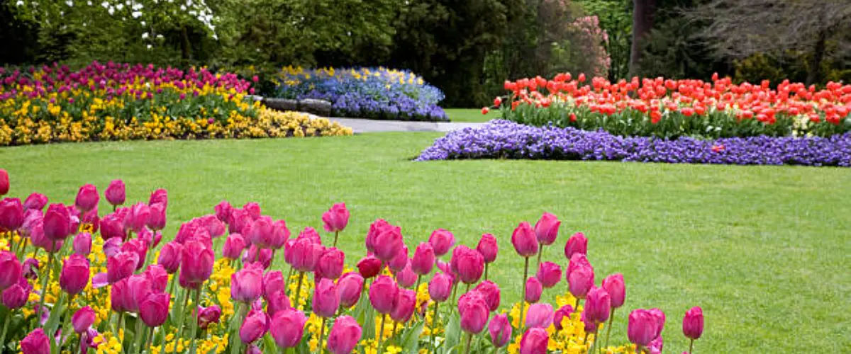 Colorful flower garden