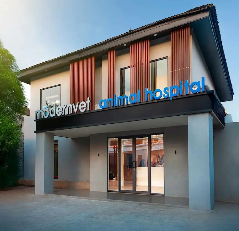 Modernvet 
