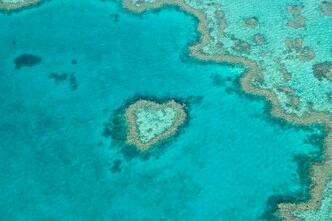 5 natural heart shaped 1