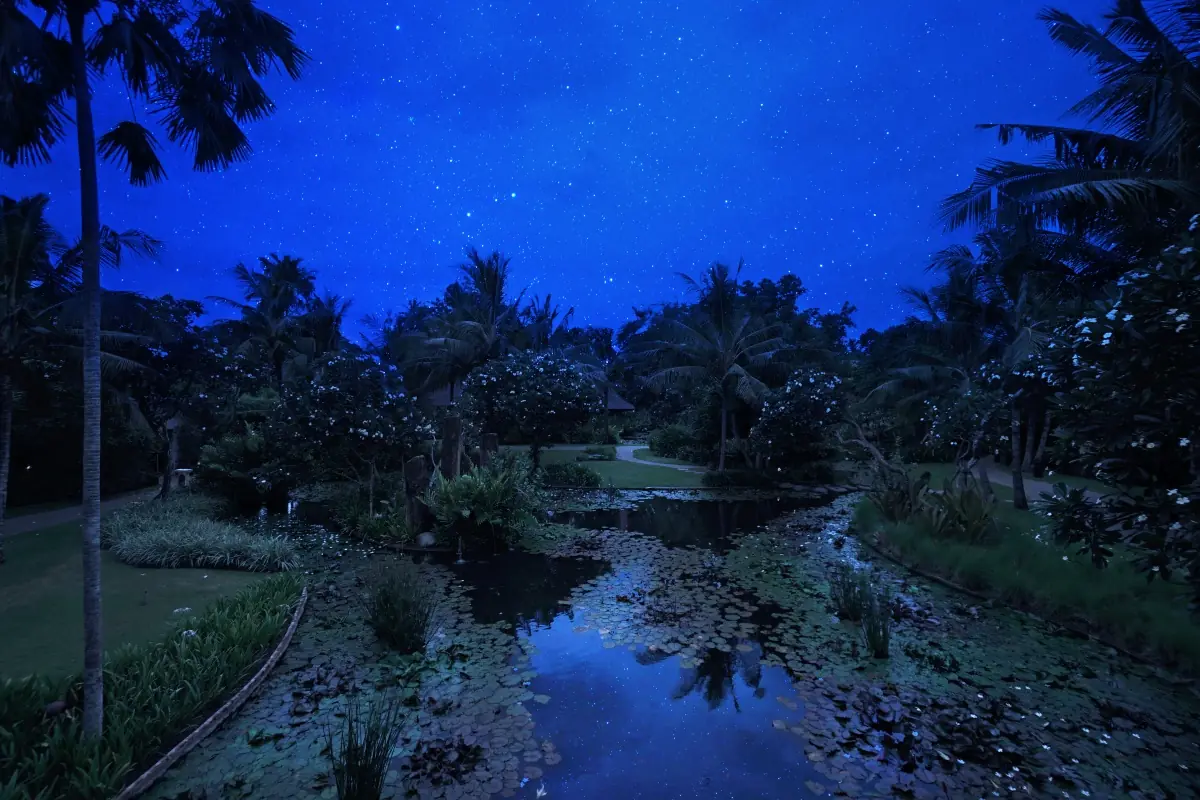 Hyatt-Regency-Bali-Nyepi