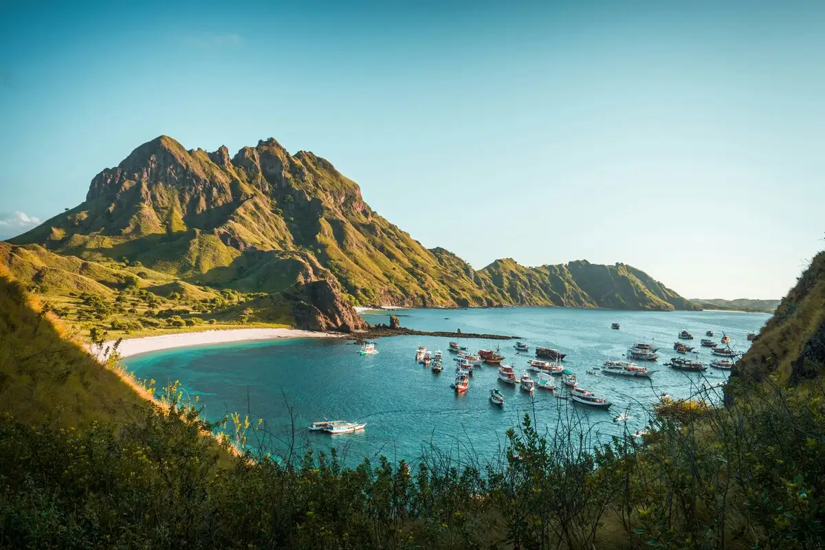 komodo national park limit