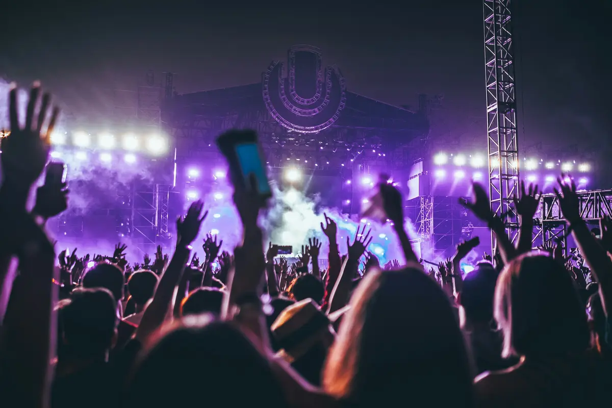 Crowd_of_people_at_music_concert