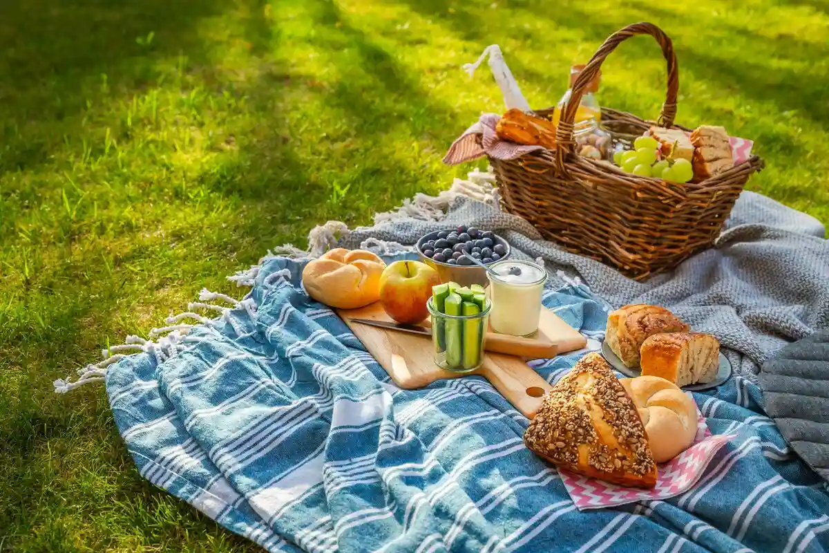 picnic set up 