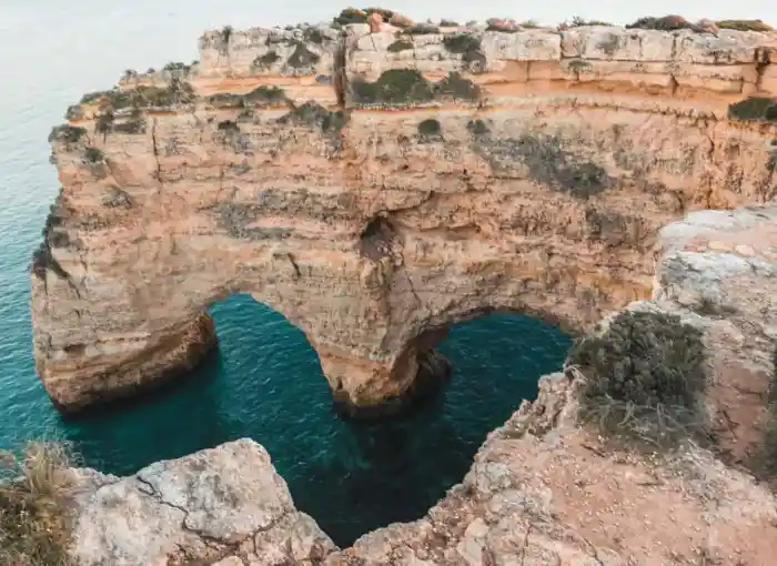 5 natural heart shaped