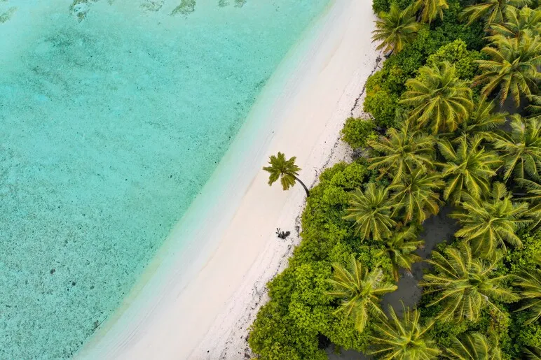 travel heart led february