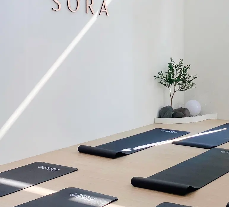 Sora