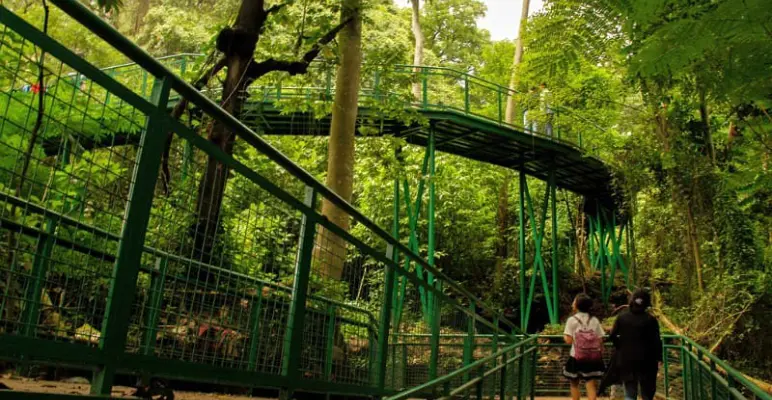 Babakan Siliwangi City Forest