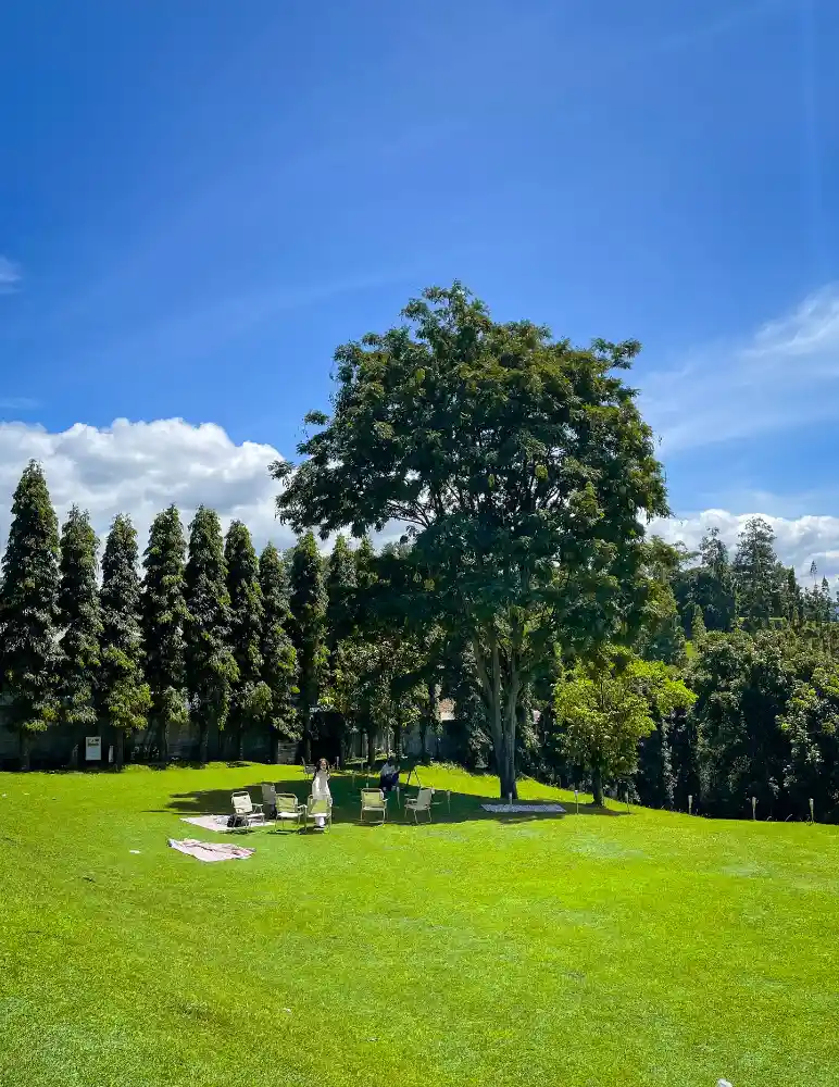 Sesar Lembang Kalcer