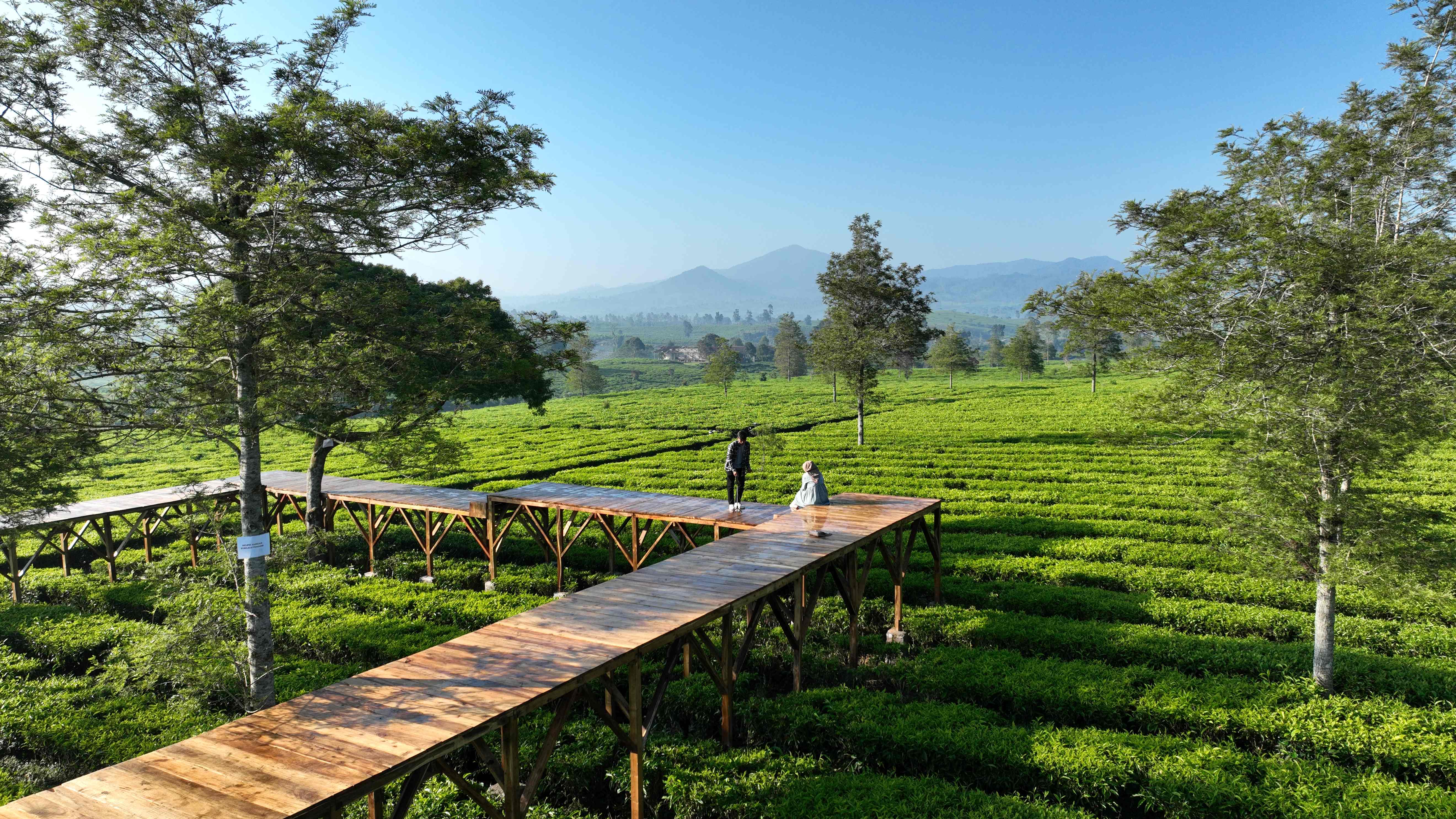 Top Tourist Destinations in Puncak, Bogor