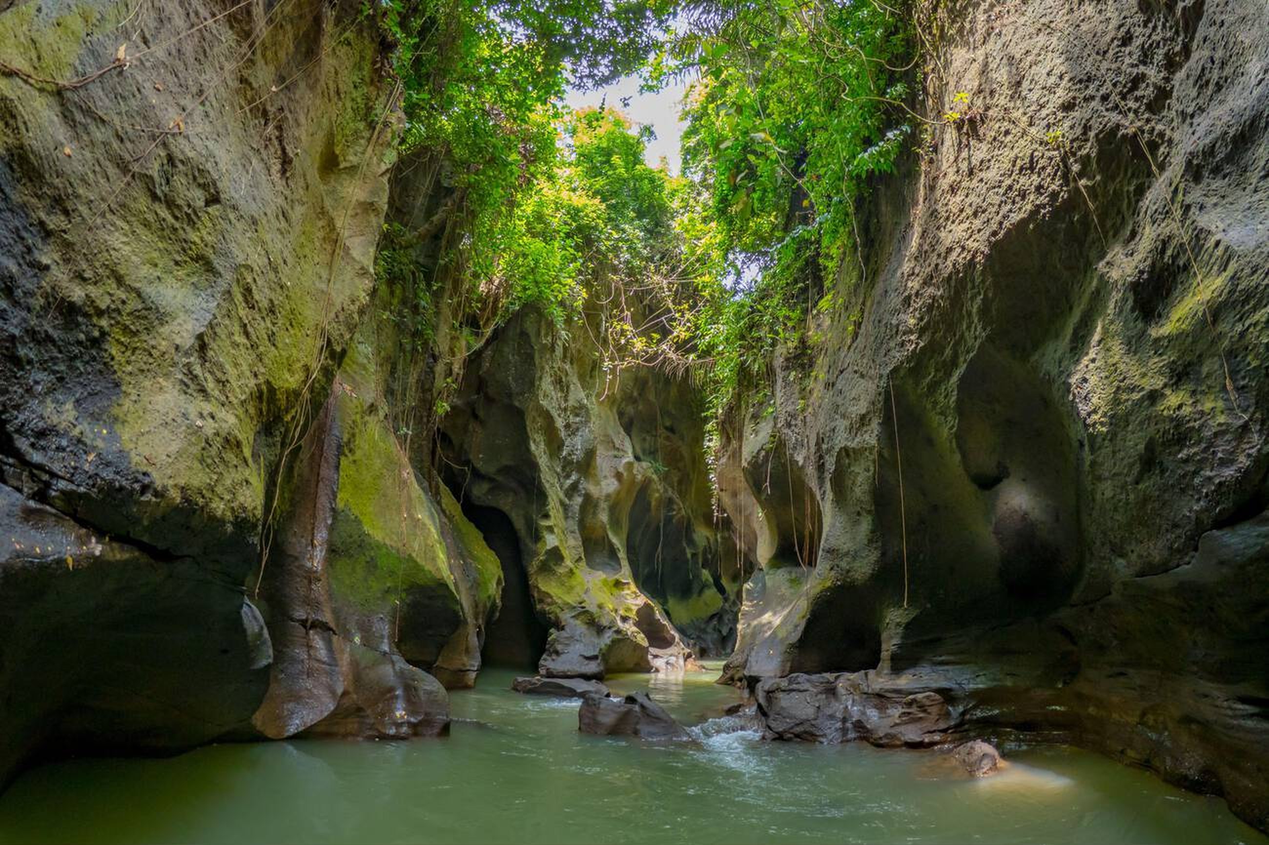Exploring Hidden Canyon Beji Guwang: Bali’s Secret Natural Wonder Exploring Hidden Canyon Beji Guwang: Bali’s Secret Natural Wonder
