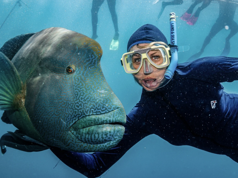 Diving and snorkeling spots in east java