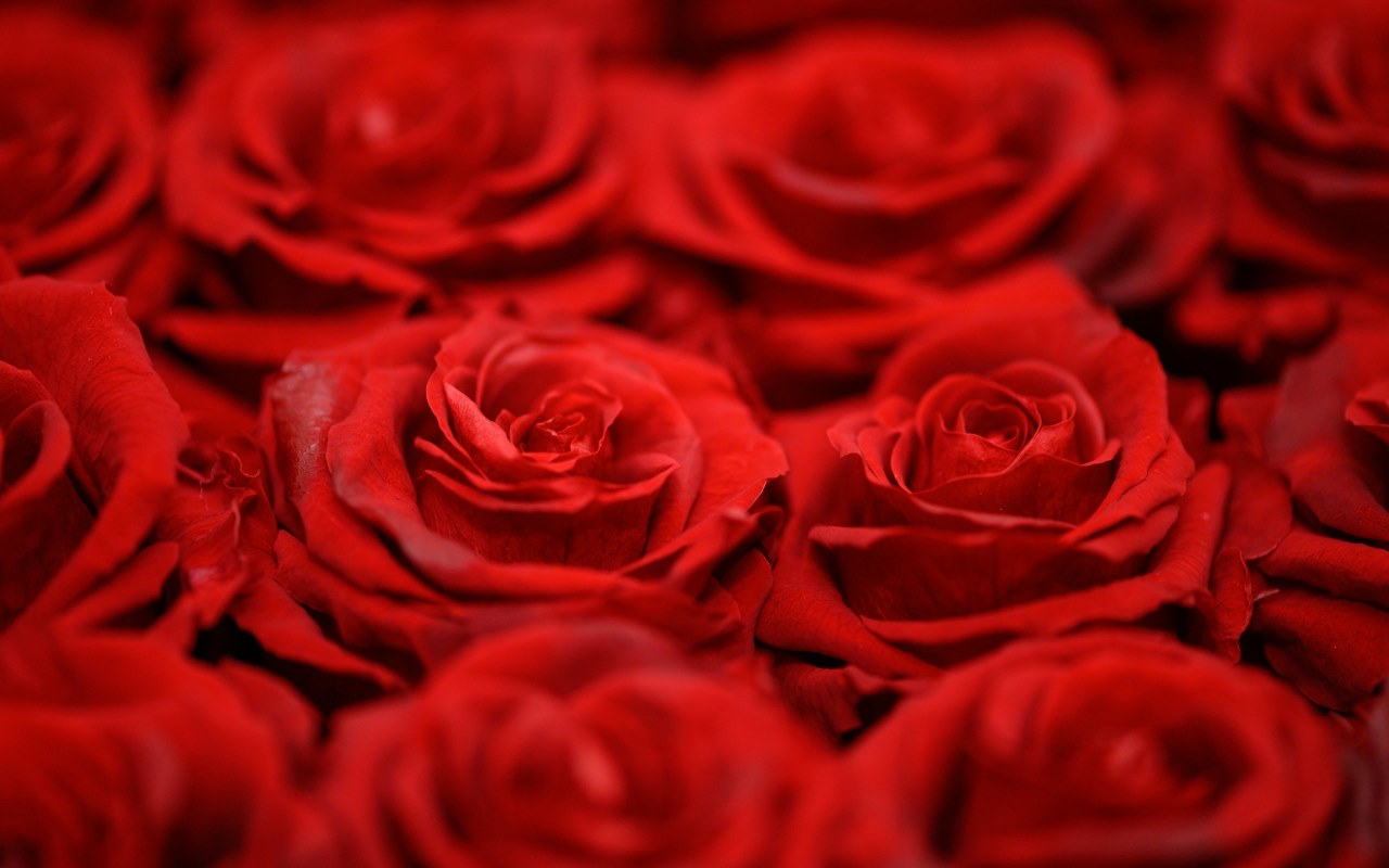 Newsletter: February 2024 New Tables | Lunar New Year Deals | Valentine's Day Deals