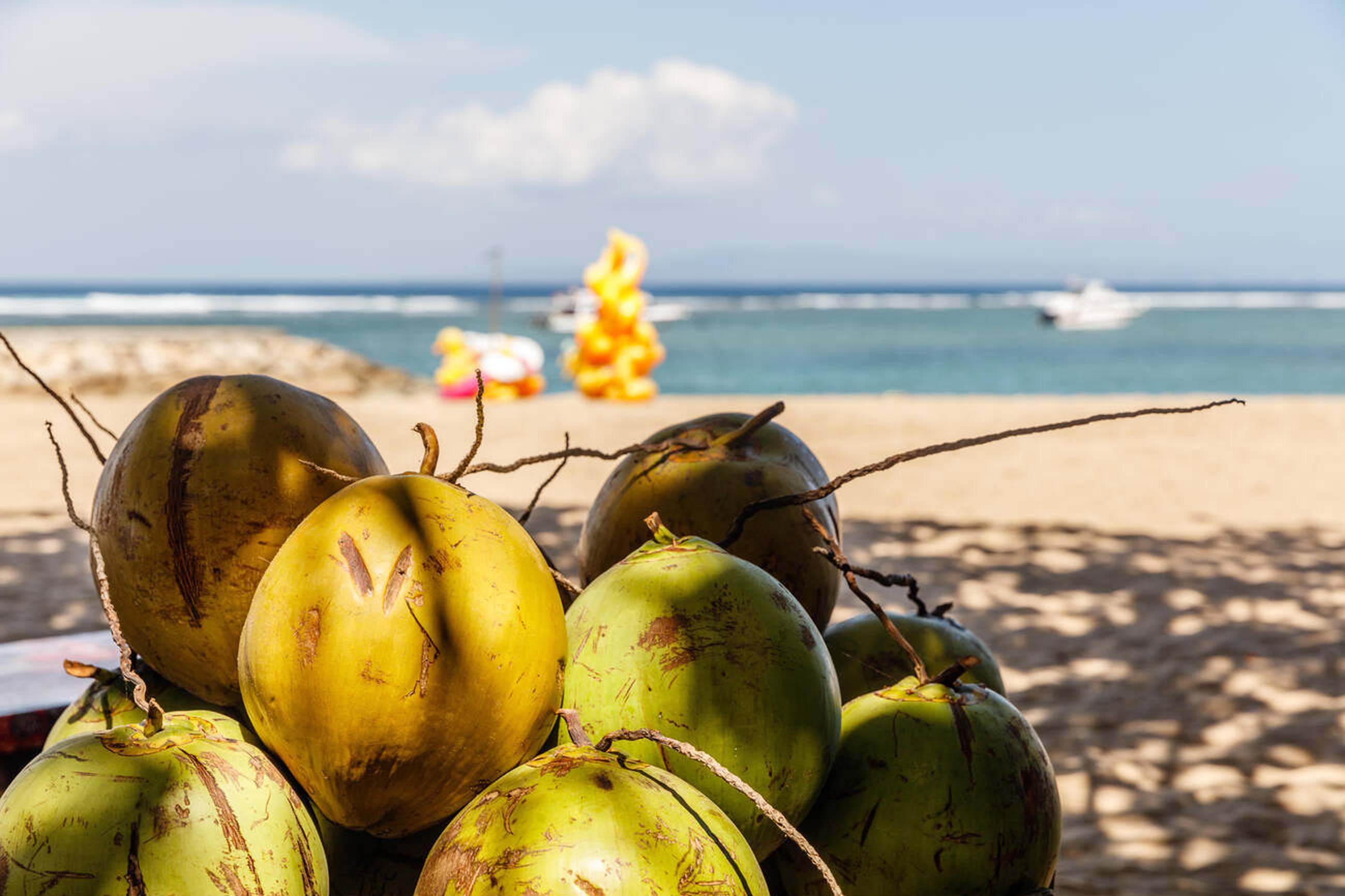 Fruit of Life: The Significance of Coconut in Bali Fruit of Life: The Significance of Coconut in Bali