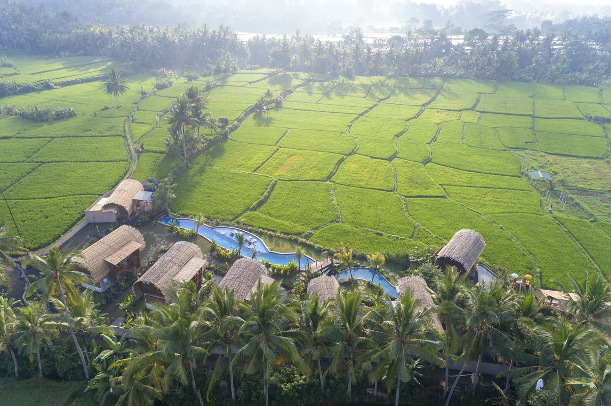 Nyepi Serenity Package at Beehouse Dijiwa Ubud