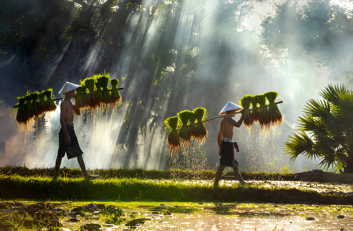 Indonesia’s Plan to Stop Food Imports (And How it Would Affect Bali Tourism) Indonesia’s Plan to Stop Food Imports (And How it Would Affect Bali Tourism)