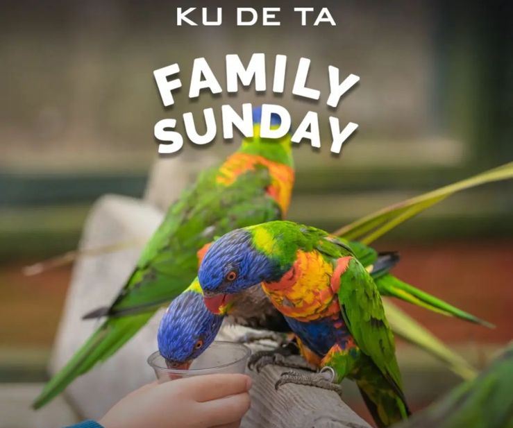 KUDETA_Family_Sunday KUDETA_Family_Sunday