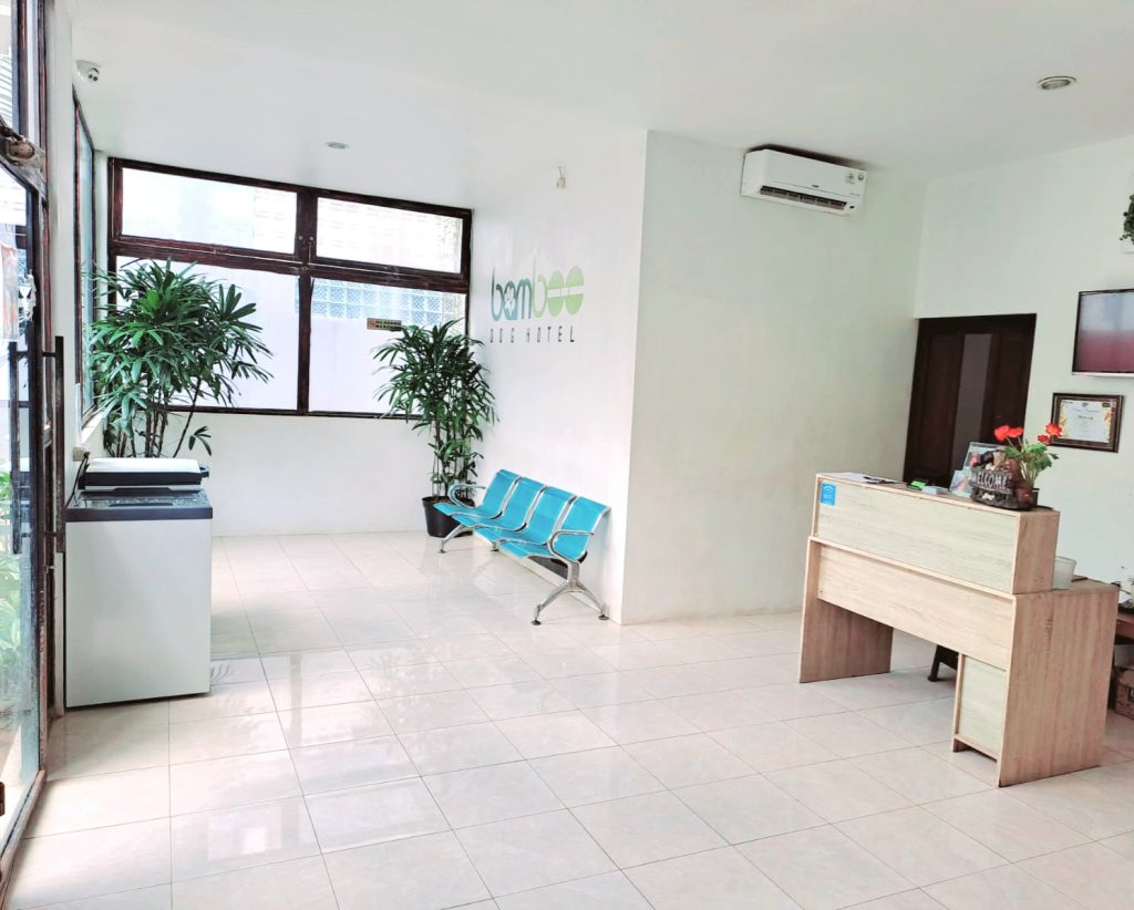 Bamboo Dog hotel Bamboo Dog hotel