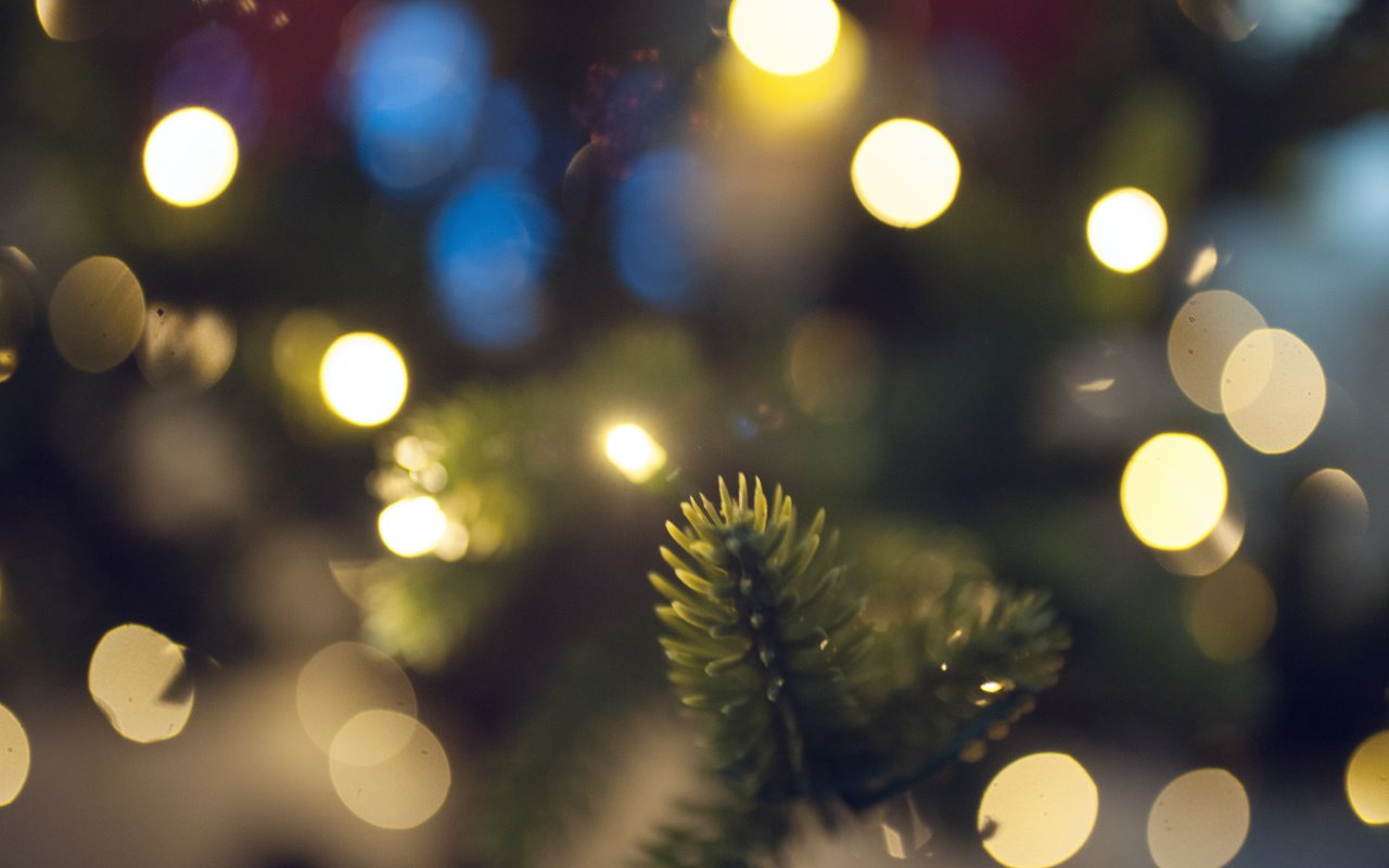 Newsletter: Let the Festive Season Begin with Festive Deals