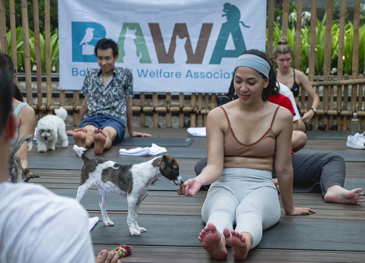 Experience Moodbooster Puppy Yoga at Hotel Indigo Bali Seminyak Beach Experience Moodbooster Puppy Yoga at Hotel Indigo Bali Seminyak Beach
