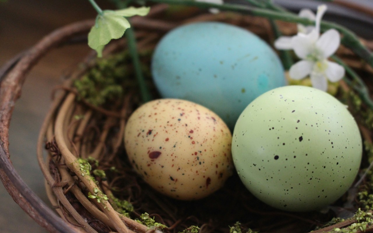 Newsletter: The Best and Complete Guide to Easter Brunch and Deals