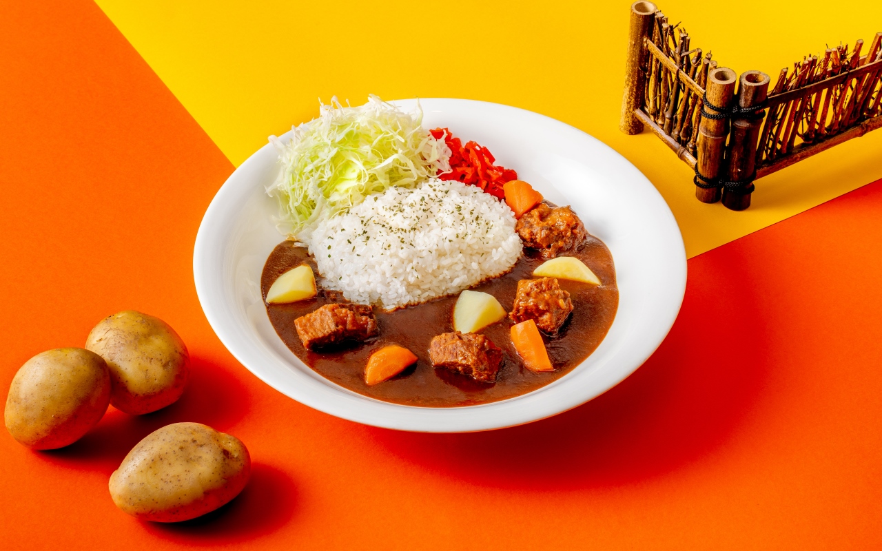 Beef Stew Curry