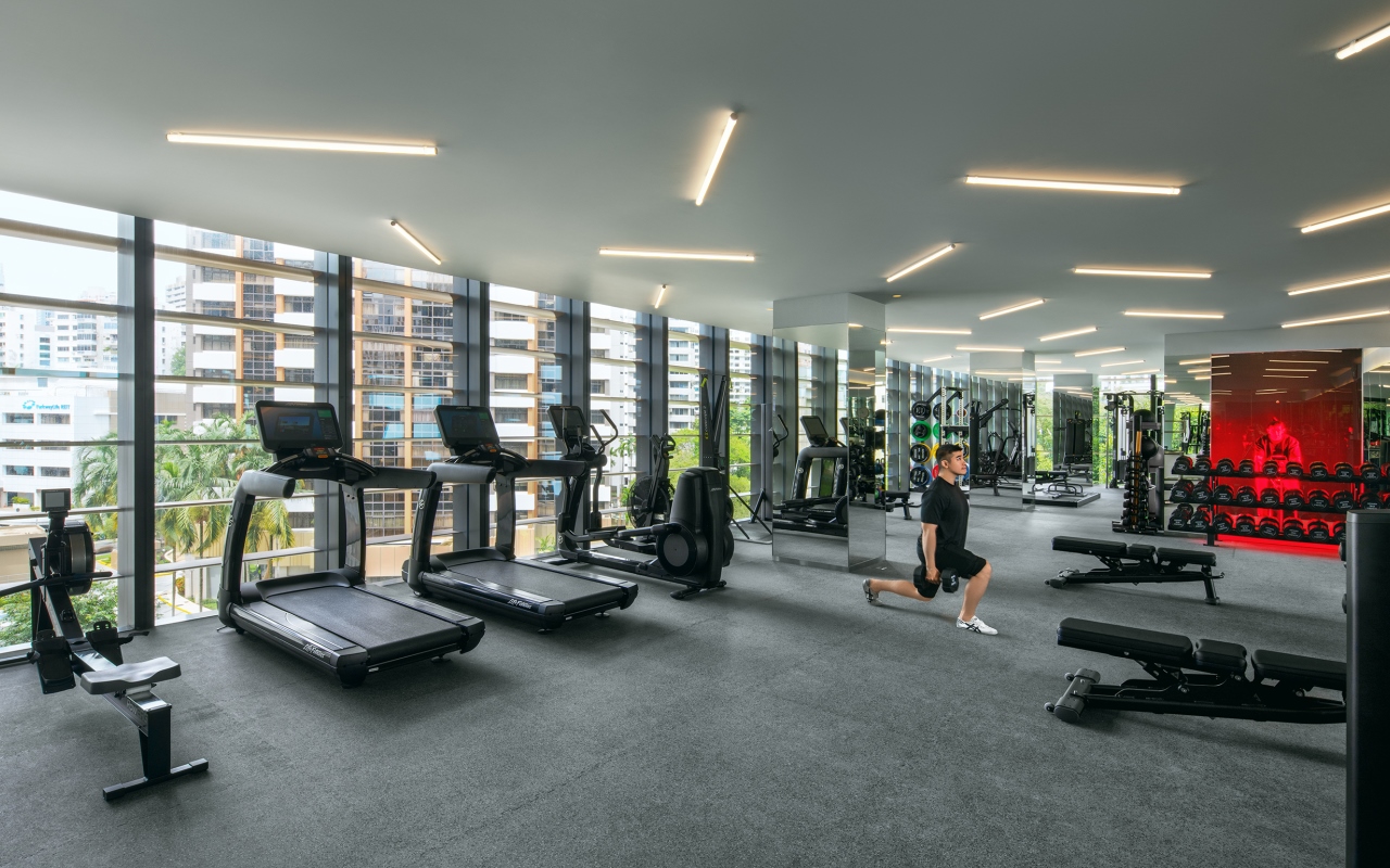 CSS Gym