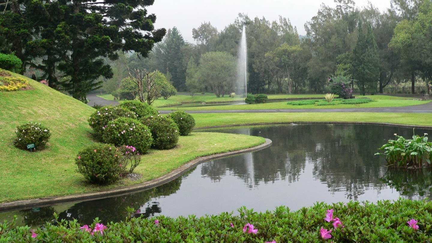 Cibodas Botanical Garden