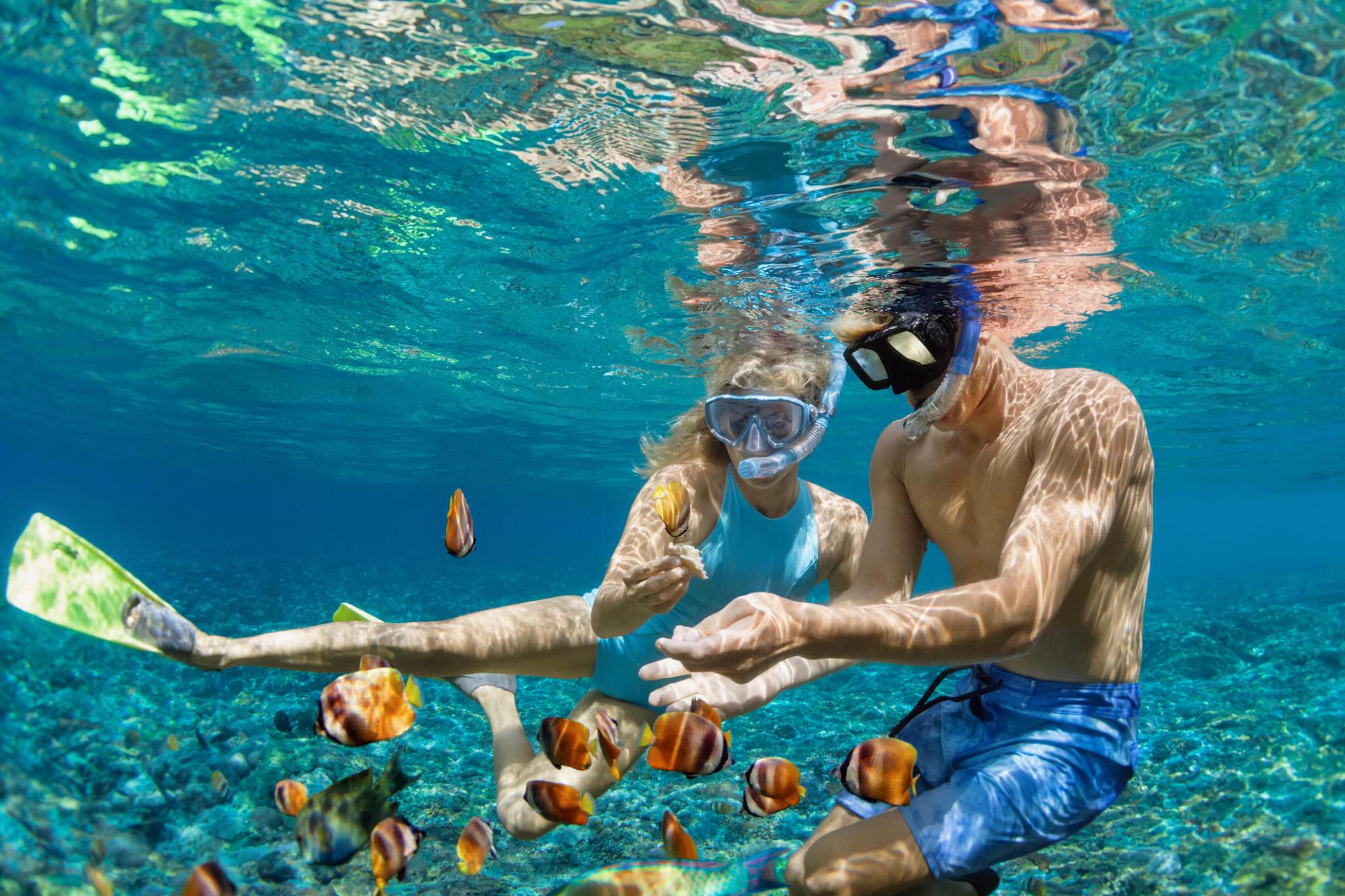 Diving
