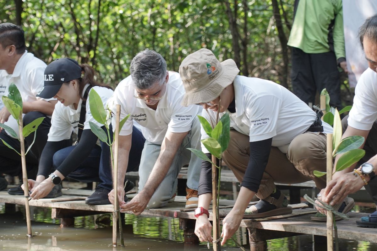 people planting_westin