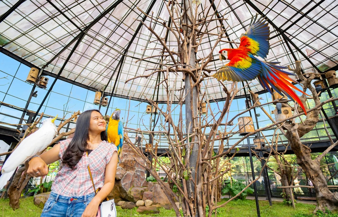 Lembang Park Zoo