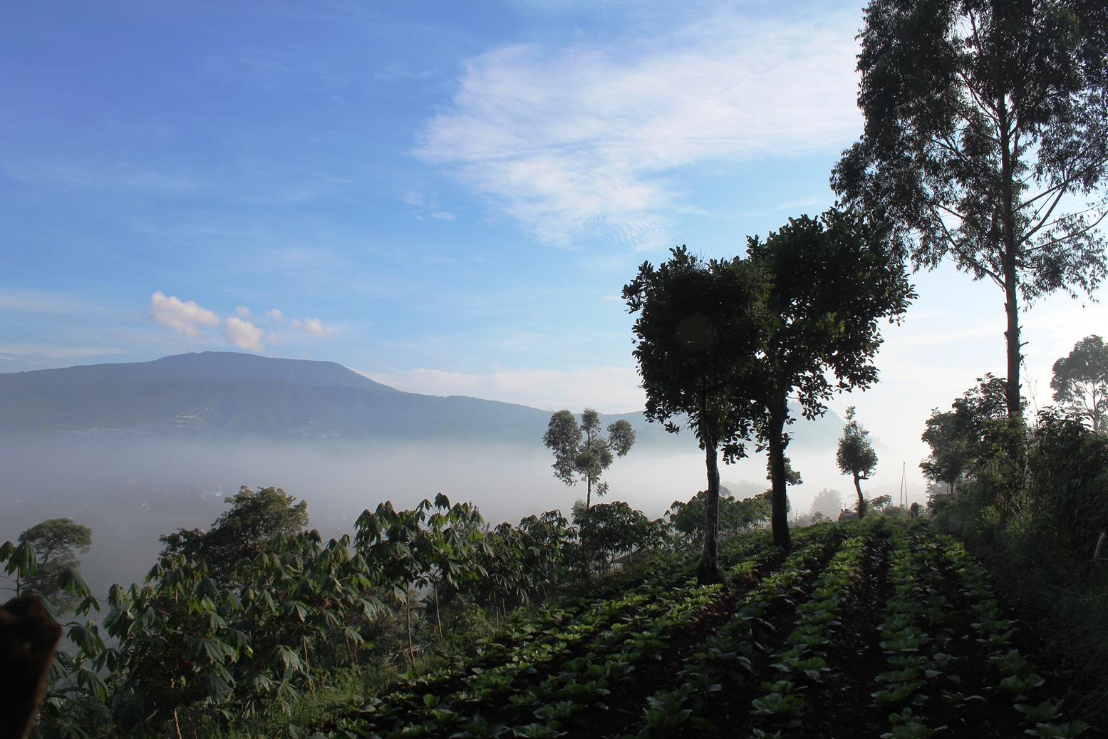 Puncak Ciumbuleuit