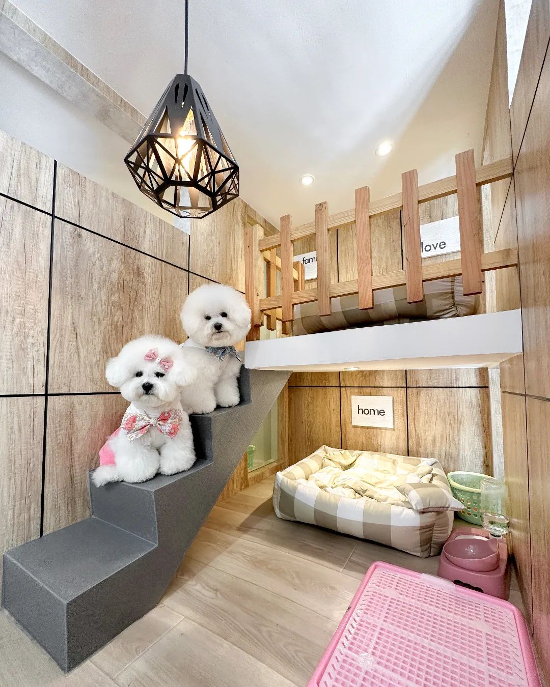 DogDog Hotel Villa & Grooming