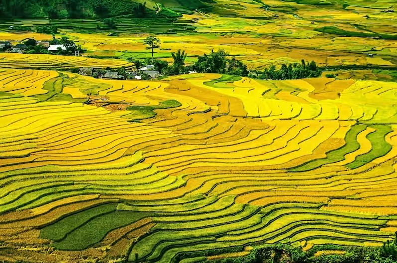 Soka Rice Terrace Bali