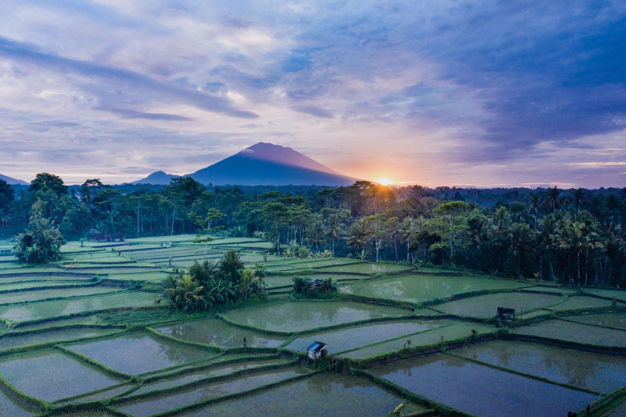 Gianyar Scenic Road