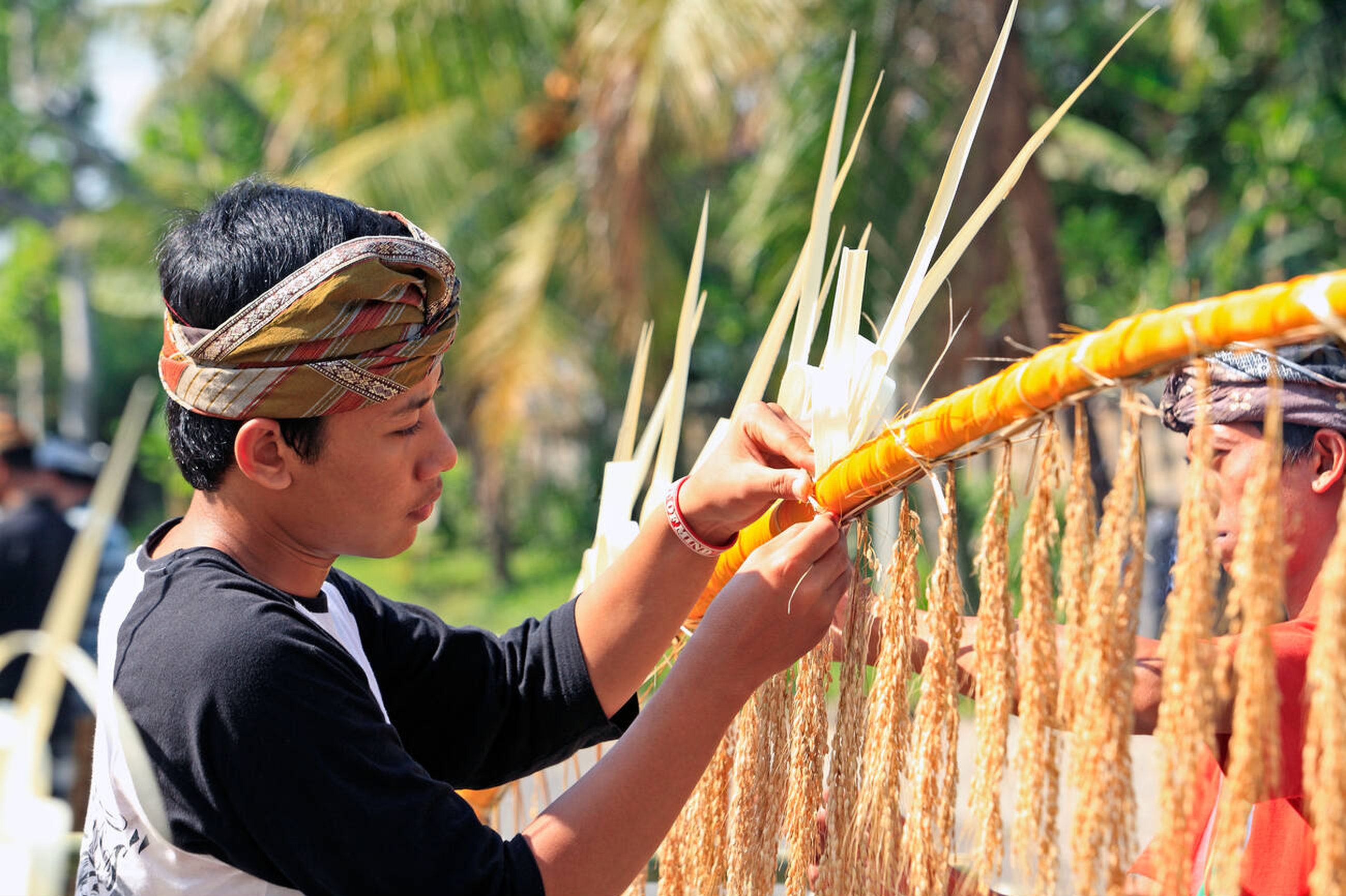 Why This Village Didn't Celebrate Ogoh Ogoh - Penjor Making Illustration