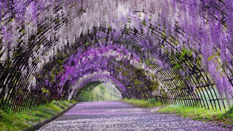 Japan Guide: Secret Travel Spots